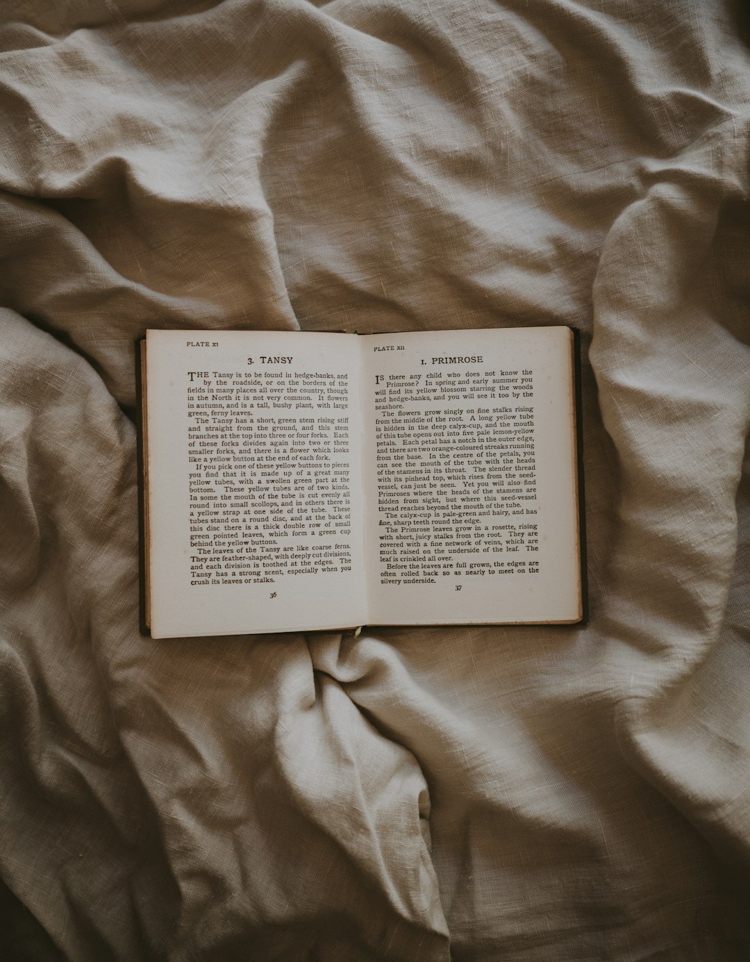 open mystery book